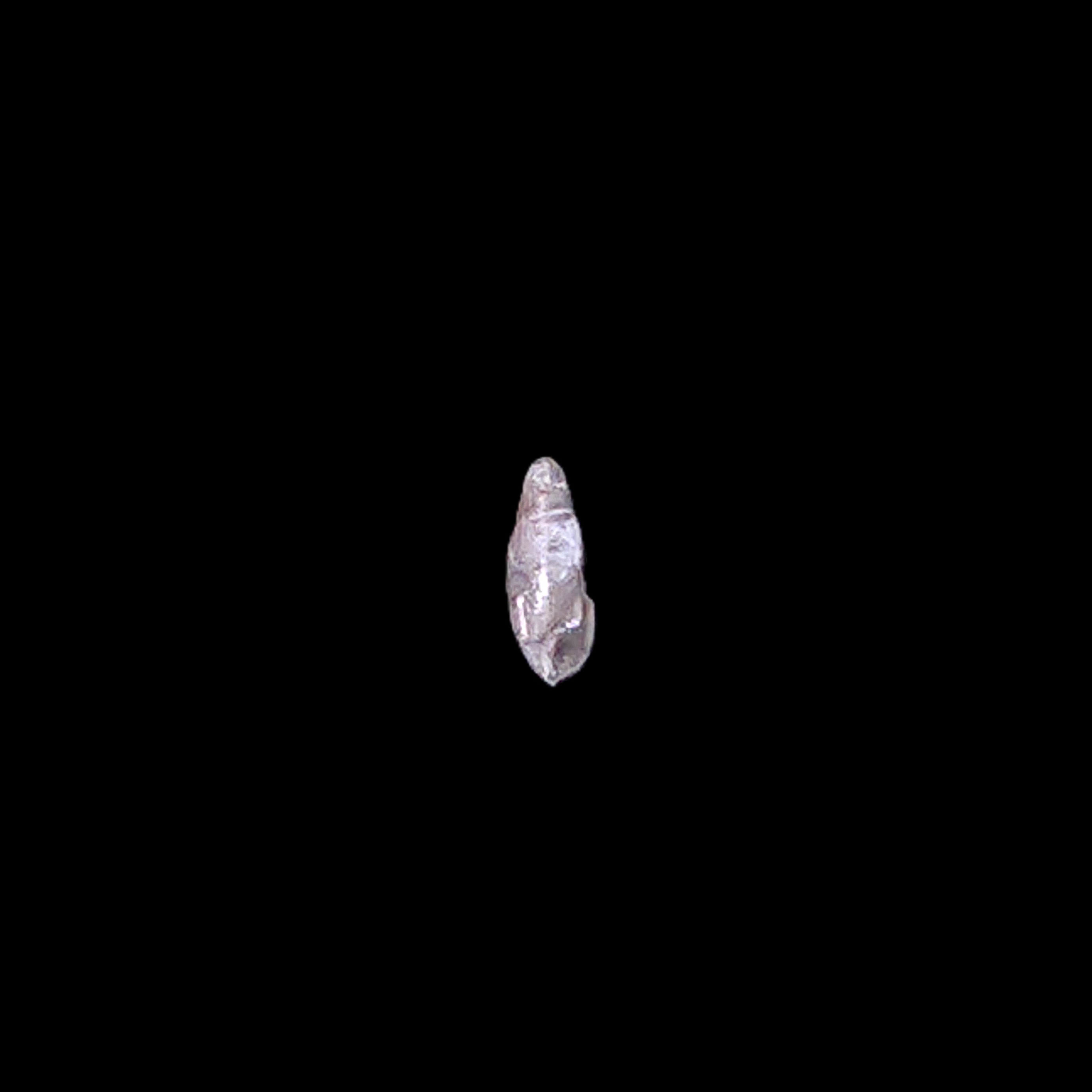 Riconoscimento esemplare